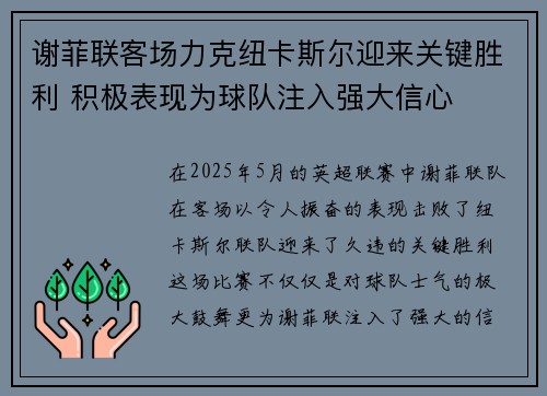 谢菲联客场力克纽卡斯尔迎来关键胜利 积极表现为球队注入强大信心