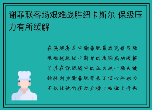 谢菲联客场艰难战胜纽卡斯尔 保级压力有所缓解